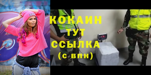 прущие грибы Аркадак