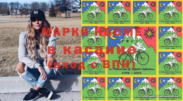 прущие грибы Аркадак