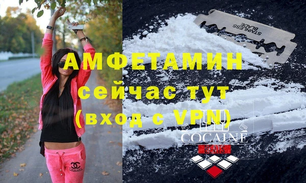 прущие грибы Аркадак